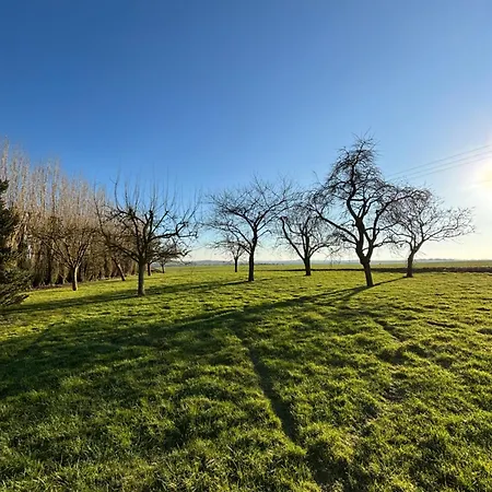 De Charme A La Ferme De Bonavis 125 M2 Tatil Evi Banteux